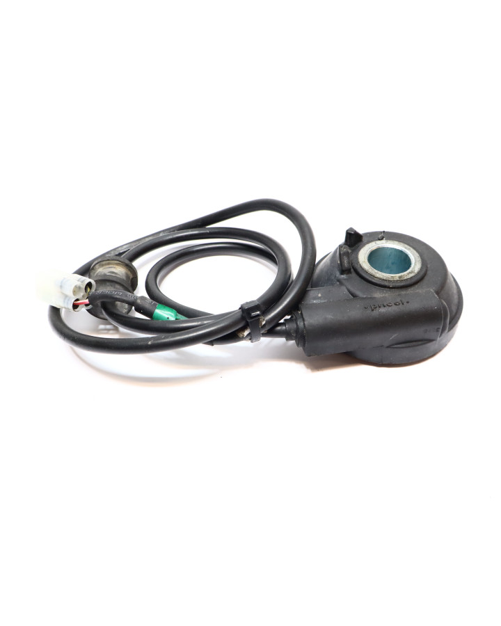 Royal Enfield Himalayan 410, hastighetsgivare