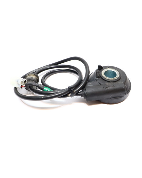 Royal Enfield Himalayan 410, hastighetsgivare