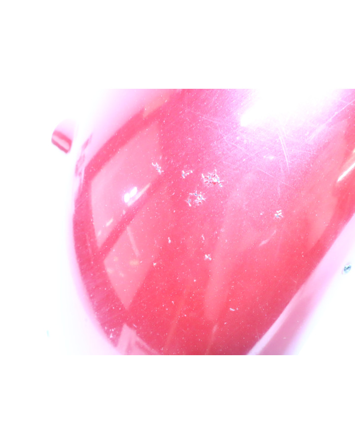 Yamaha XJ900S Diversion, framskärm