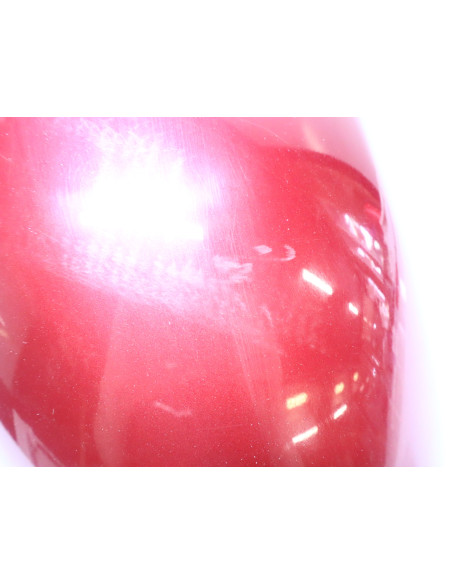 Yamaha XJ900S Diversion, framskärm