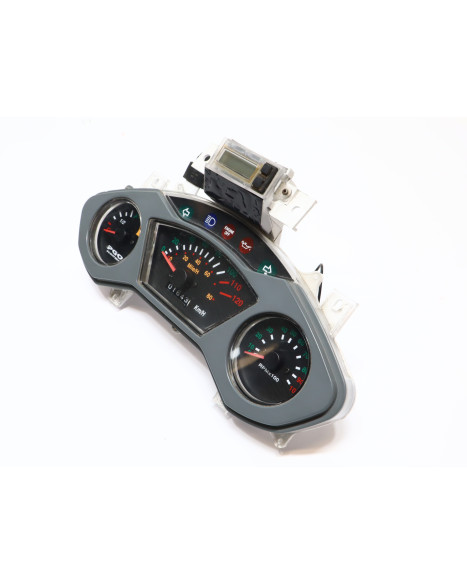 PGO T-Rex, hastighetsmätare