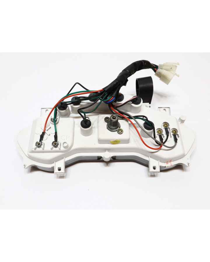 PGO T-Rex, hastighetsmätare