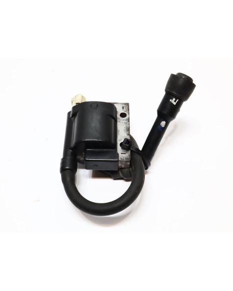 Royal Enfield Himalayan 410, tändspole