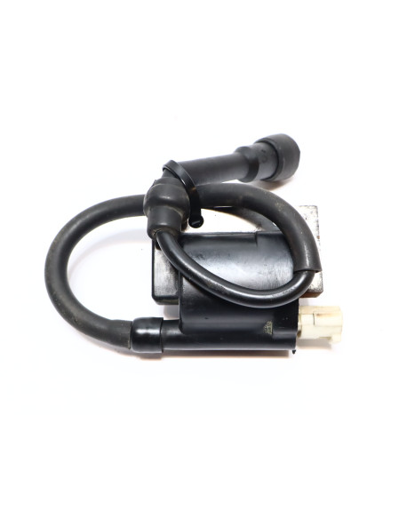 Royal Enfield Himalayan 410, tändspole