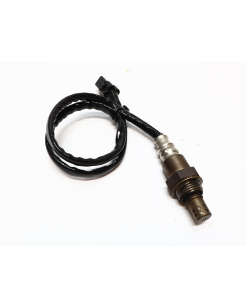 Kawasaki Z1000, lambdasond 2