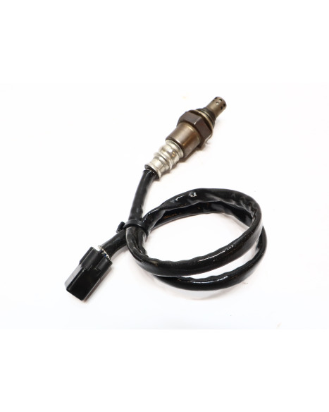 Kawasaki Z1000, lambdasond