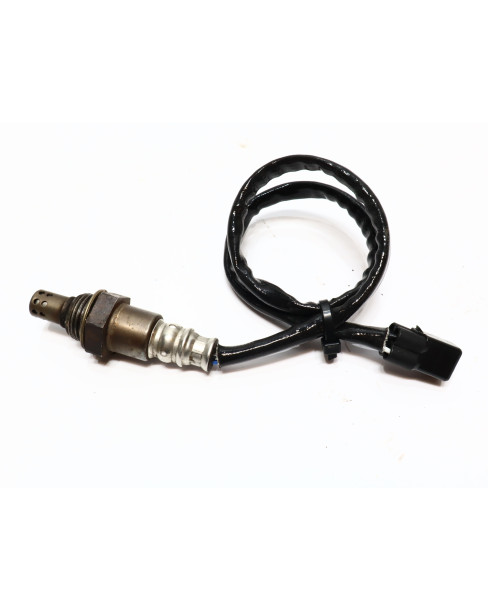 Kawasaki Z1000, lambdasond