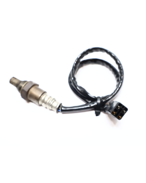 Kawasaki Z1000, lambdasond