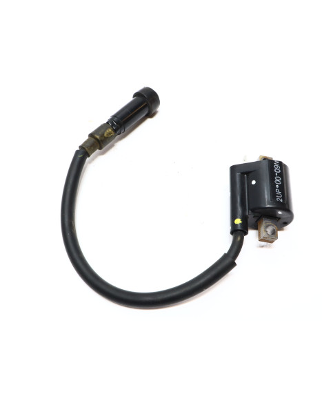 Yamaha YZF-R125, tändspole