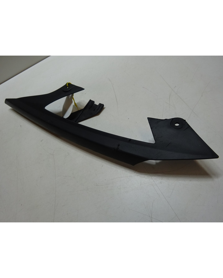 Kawasaki ZZR1400, kedjeskydd