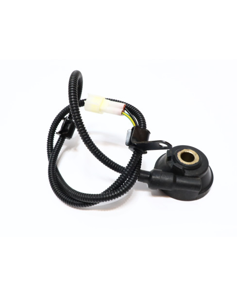 Drax Rough, hastighetsgivare