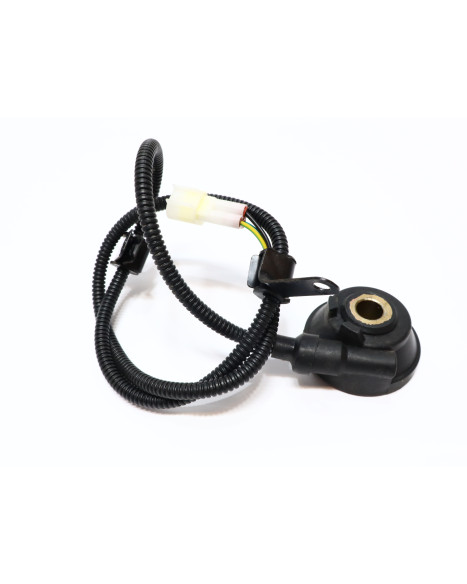 Drax Rough, hastighetsgivare