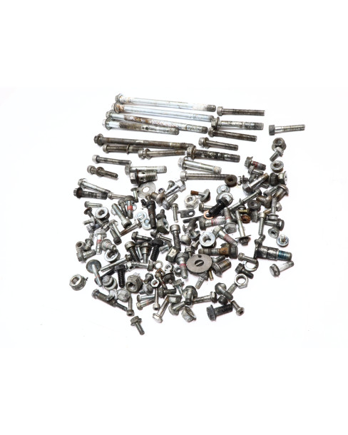 Royal Enfield Himalayan 410, skruvkit 2