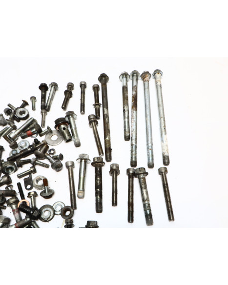 Royal Enfield Himalayan 410, skruvkit