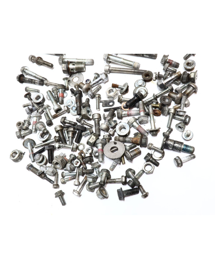 Royal Enfield Himalayan 410, skruvkit