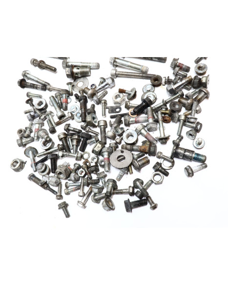 Royal Enfield Himalayan 410, skruvkit