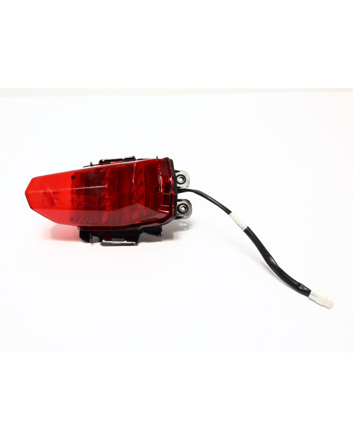 Yamaha YZF-R125, baklykta