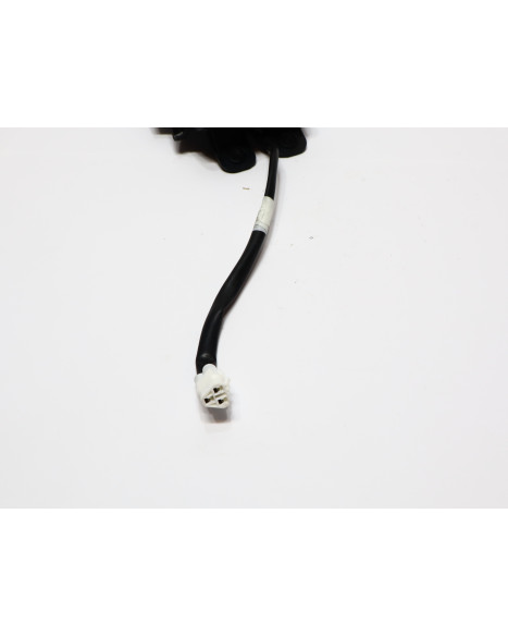 Yamaha YZF-R125, baklykta