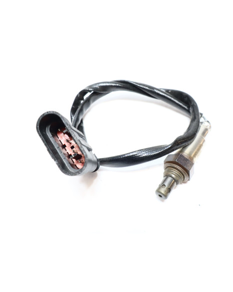 Drax Rough, lambdasond