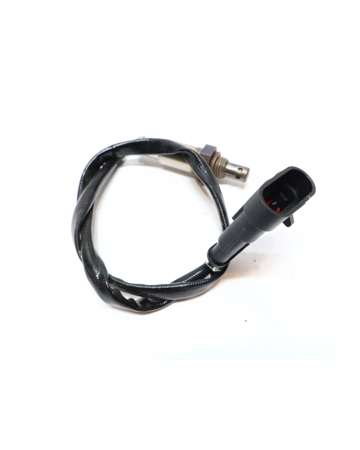 Drax Rough, lambdasond