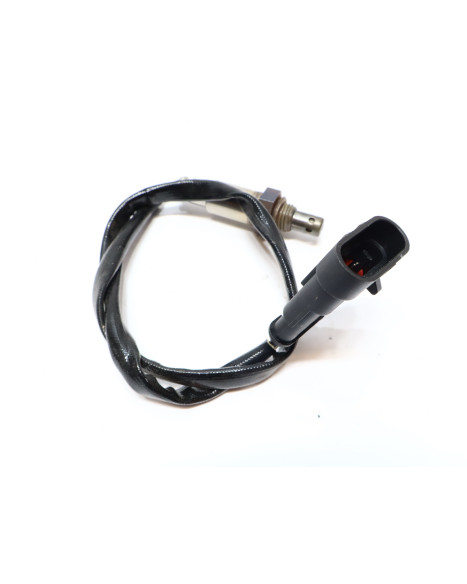 Drax Rough, lambdasond