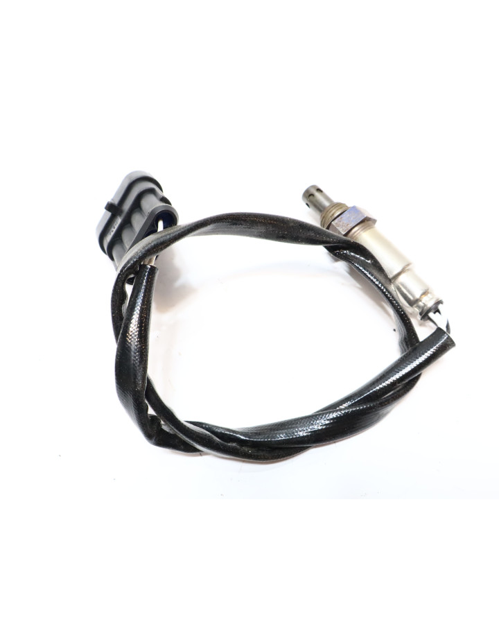 Drax Rough, lambdasond