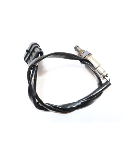 Drax Rough, lambdasond