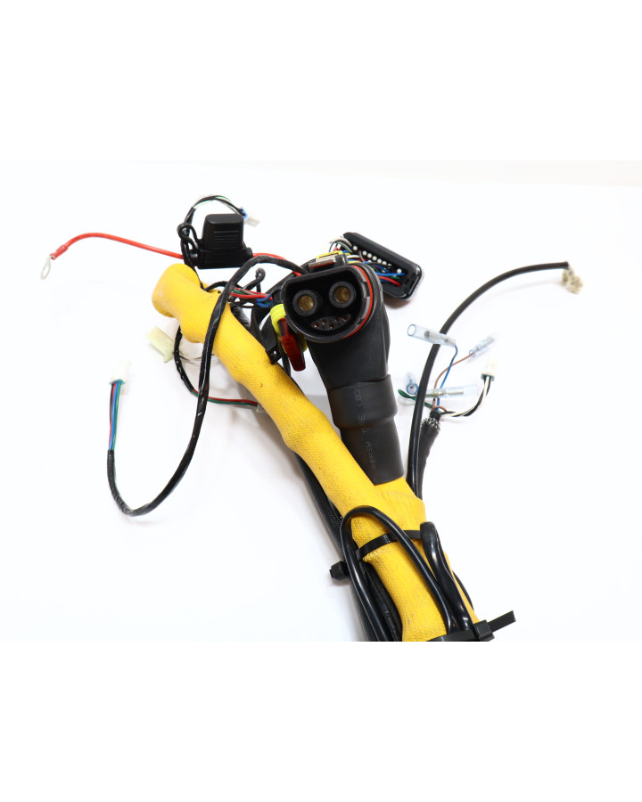 Cake Ösa, kabelhärva