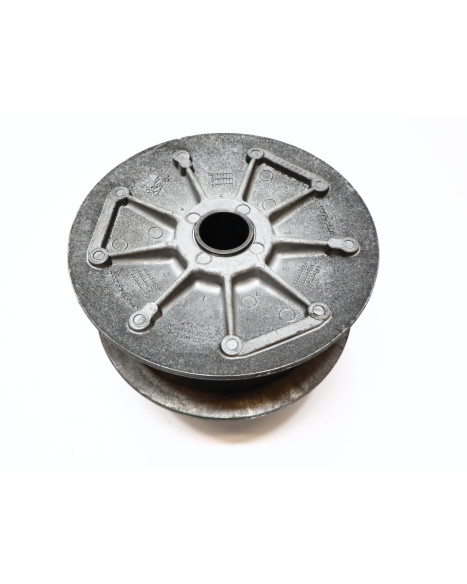 Ligier/Microcar/Chatenet/Bellier, Casalini/Grecav/JDM, primärvariator