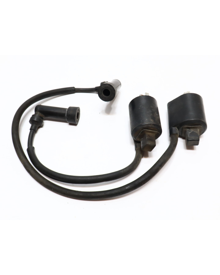 Yamaha XV 750 Virago, tändspole (par)