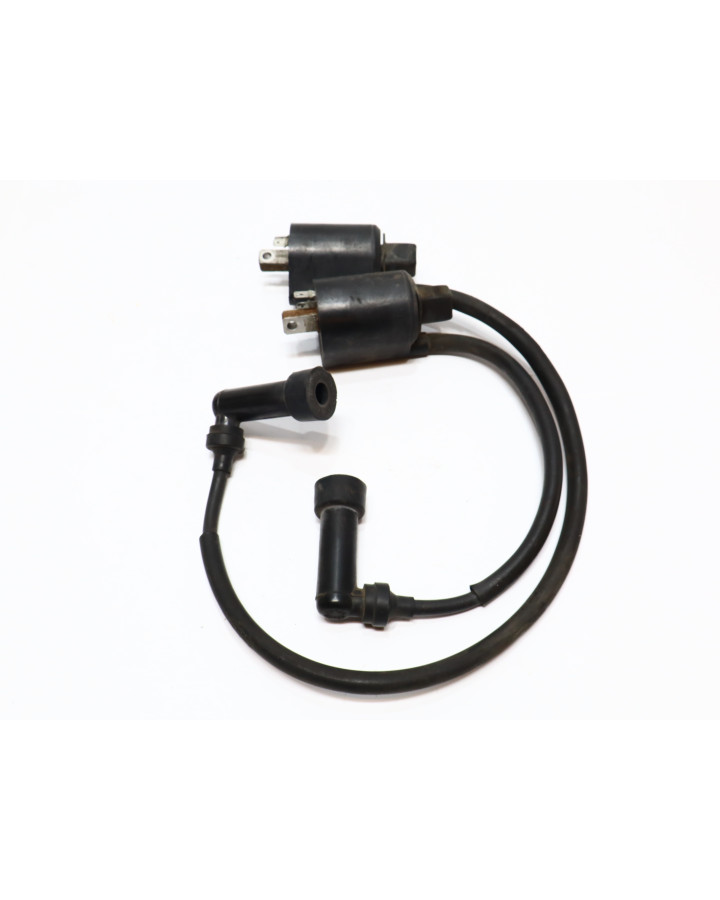 Yamaha XV 750 Virago, tändspole (par)