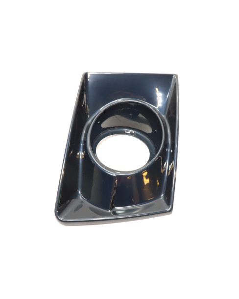 Ligier IXO, dimljuskåpa vänster 2