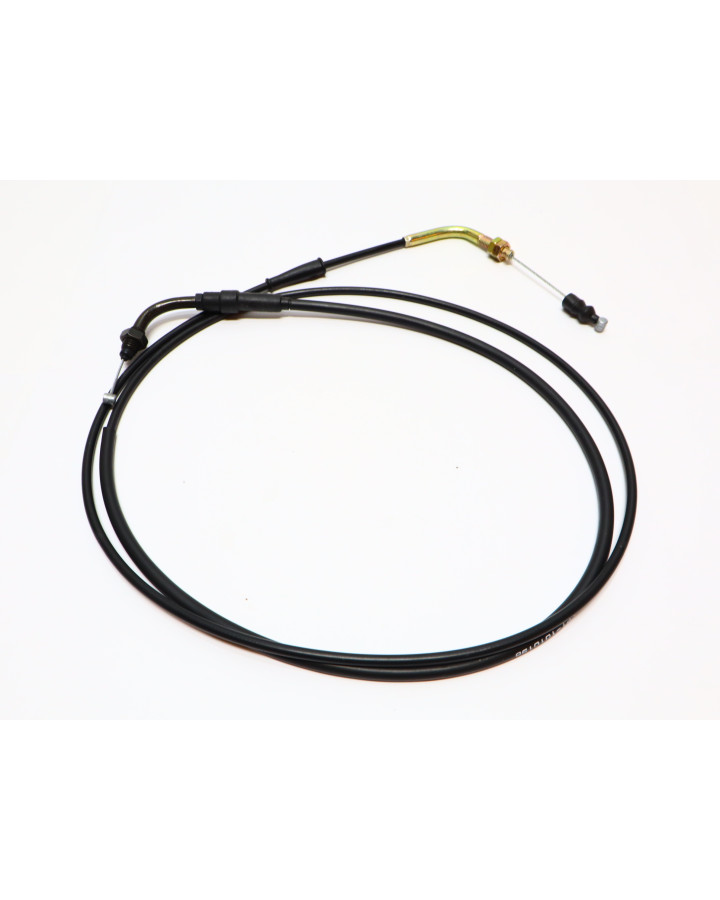 Viarelli Destro, gasvajer