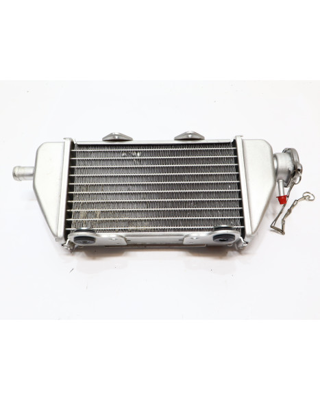 Viarelli Motard, kylare