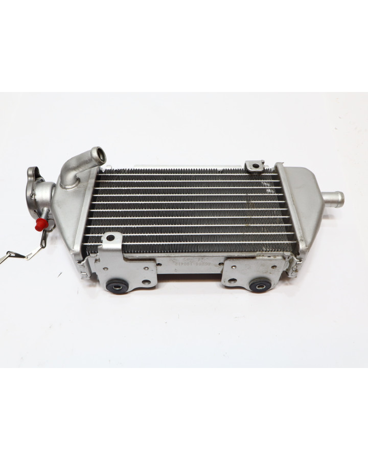 Viarelli Motard, kylare