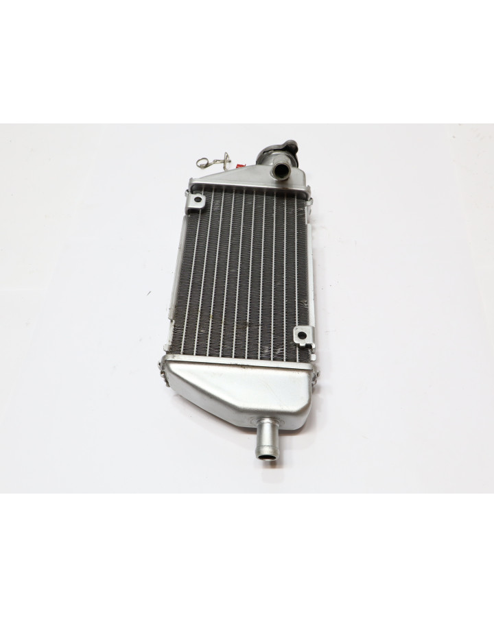 Viarelli Motard, kylare