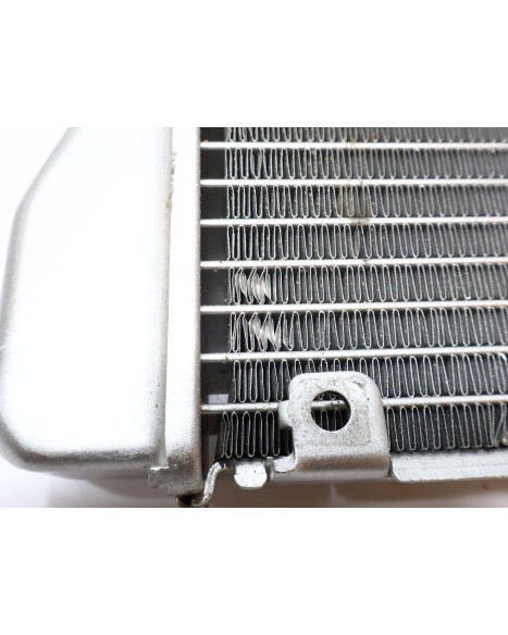 Viarelli Motard, kylare