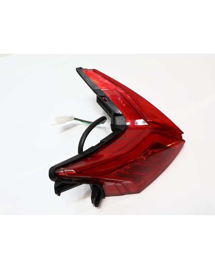 Invicta Venator, baklykta