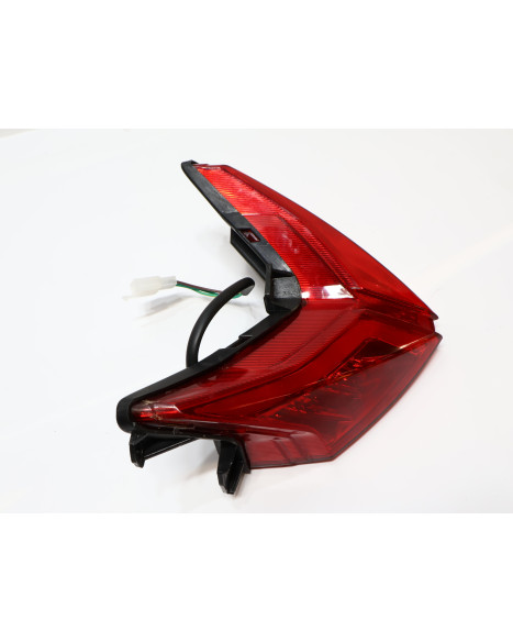 Invicta Venator, baklykta