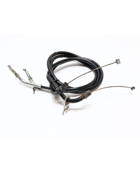 Kawasaki Z1000, gasvajer