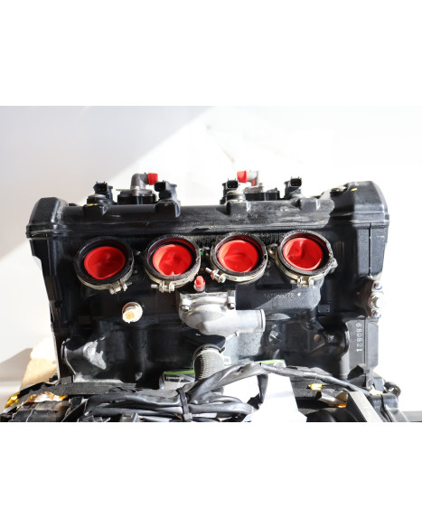 Kawasaki Z1000, motor