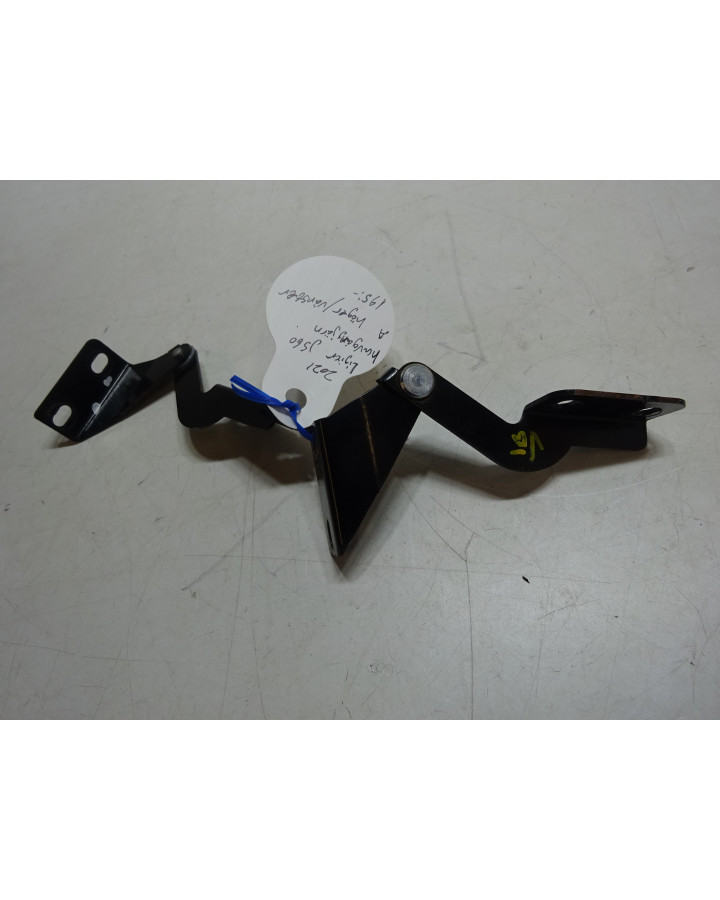 Ligier JS60, huvgångjärn (höger+vänster)