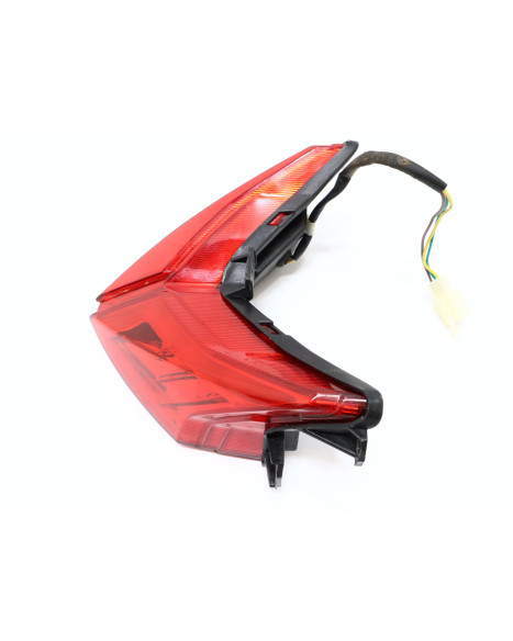 Invicta Venator, baklykta