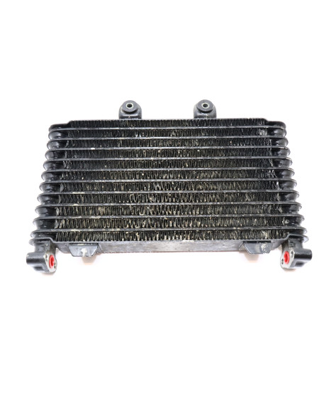 Suzuki GSF 1200S Bandit, oljekylare