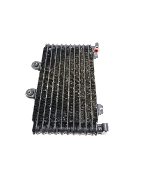 Suzuki GSF 1200S Bandit, oljekylare 2