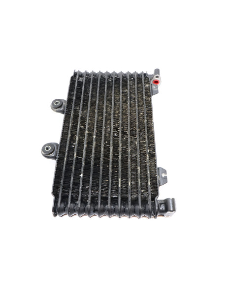 Suzuki GSF 1200S Bandit, oljekylare