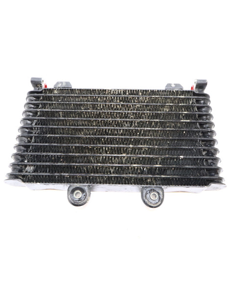 Suzuki GSF 1200S Bandit, oljekylare