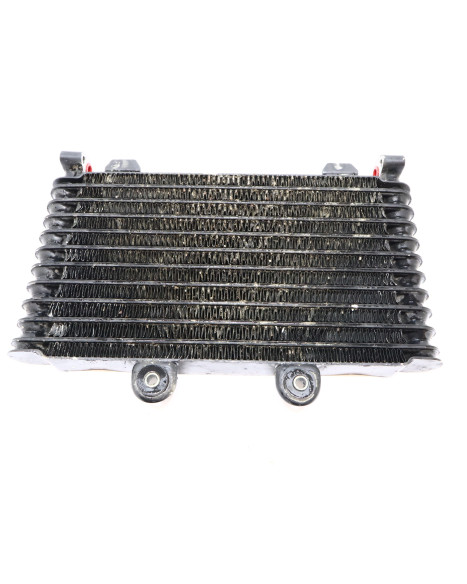 Suzuki GSF 1200S Bandit, oljekylare