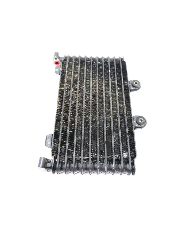 Suzuki GSF 1200S Bandit, oljekylare