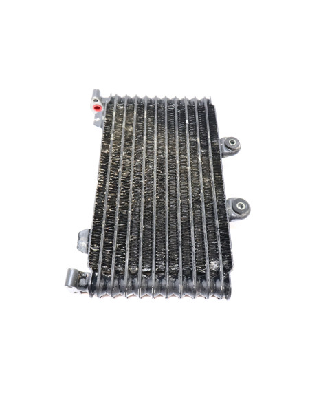 Suzuki GSF 1200S Bandit, oljekylare